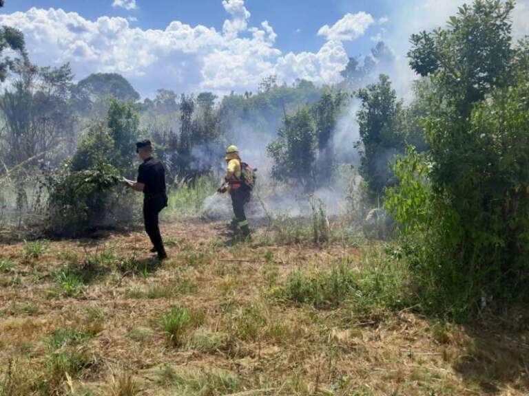 Controlaron un principio de foco ígneo en una zona de malezas de Alem imagen-20