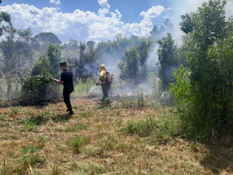 Controlaron un principio de foco ígneo en una zona de malezas de Alem imagen-12