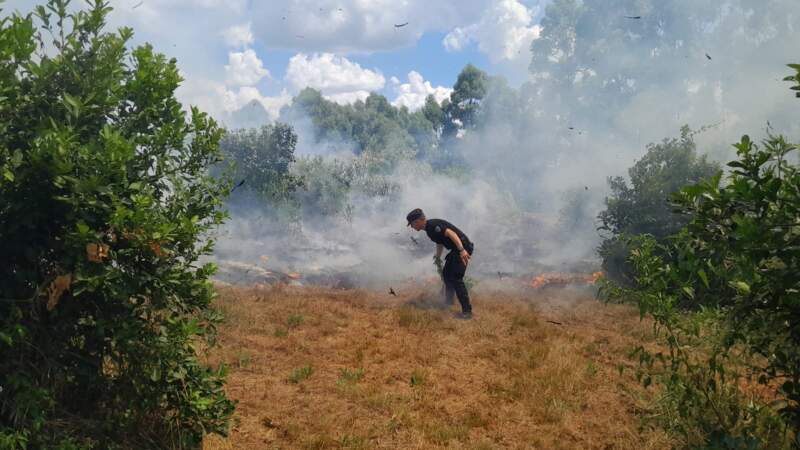 Controlaron un principio de foco ígneo en una zona de malezas de Alem imagen-2