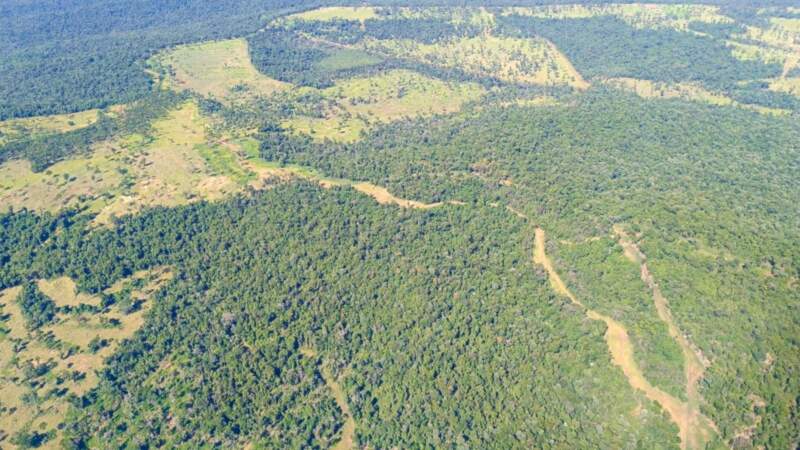 Herramientas tecnológicas para la detección temprana permitieron reducir en más del 50 % los incendios rurales desde el año 2020 imagen-2