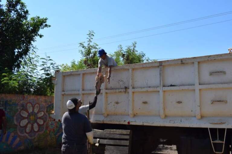 El operativo “Escuelas Seguras” realizó limpieza en el BOP 8 imagen-36