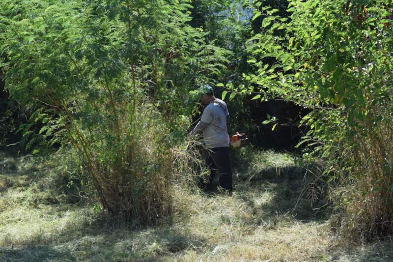 El operativo “Escuelas Seguras” realizó limpieza en el BOP 8 imagen-2