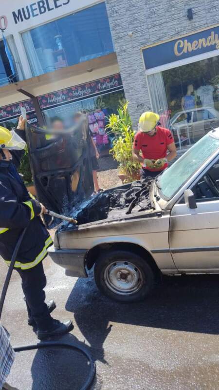 Panambí: sin lesionados tras el principio de incendio de un auto imagen-4