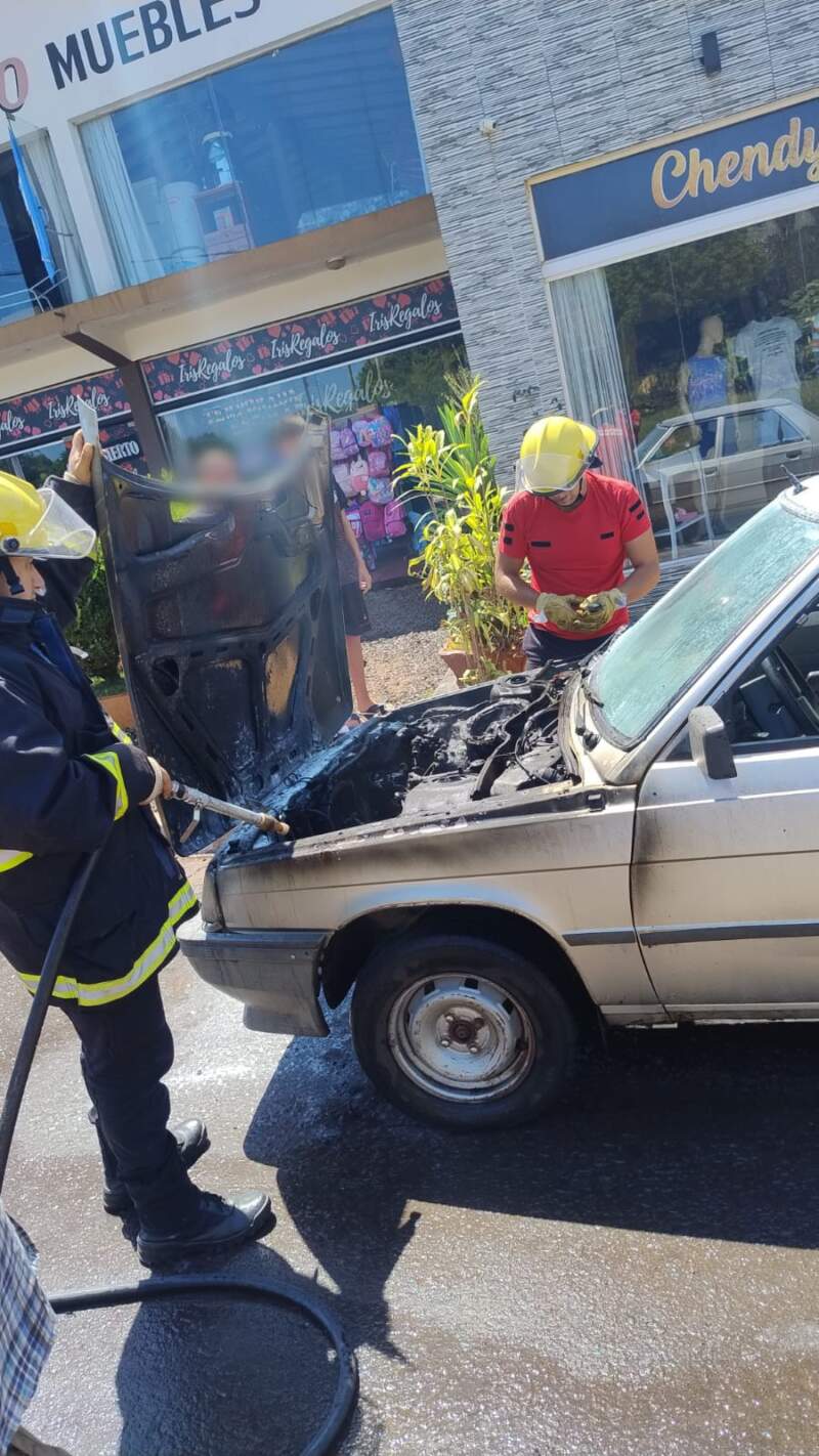 Panambí: sin lesionados tras el principio de incendio de un auto imagen-9