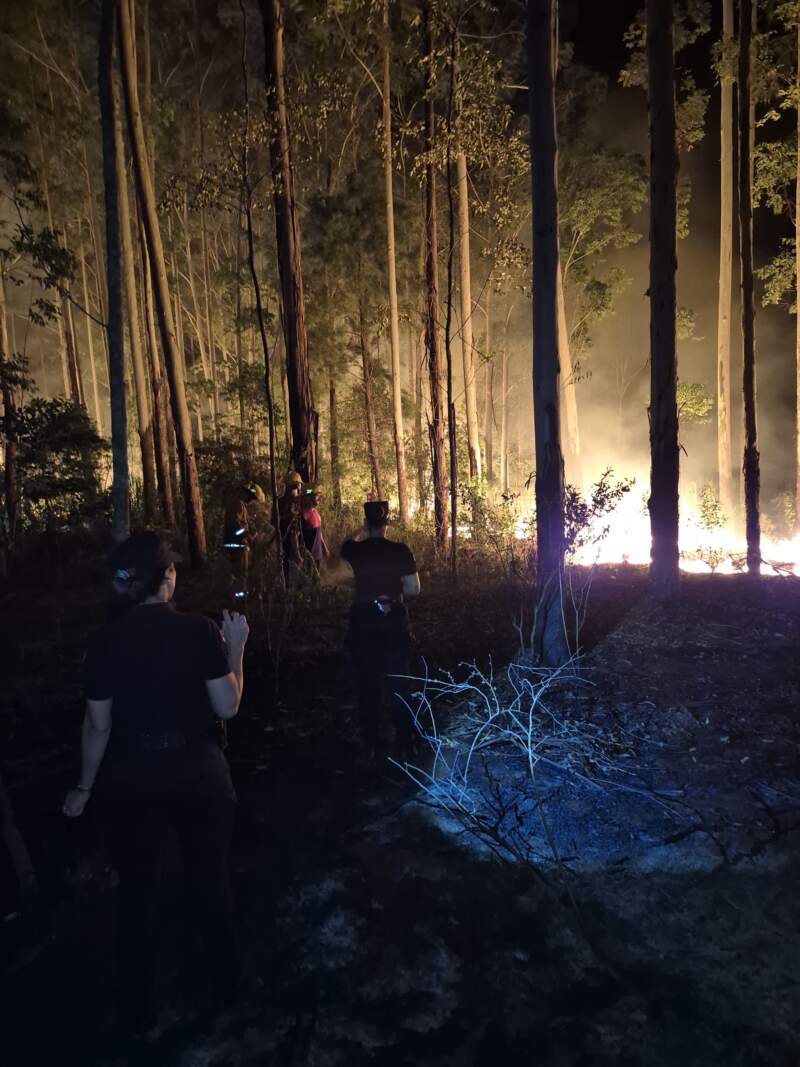 25 de Mayo: Bomberos intervinieron por un incendio de malezas y eucaliptal imagen-2