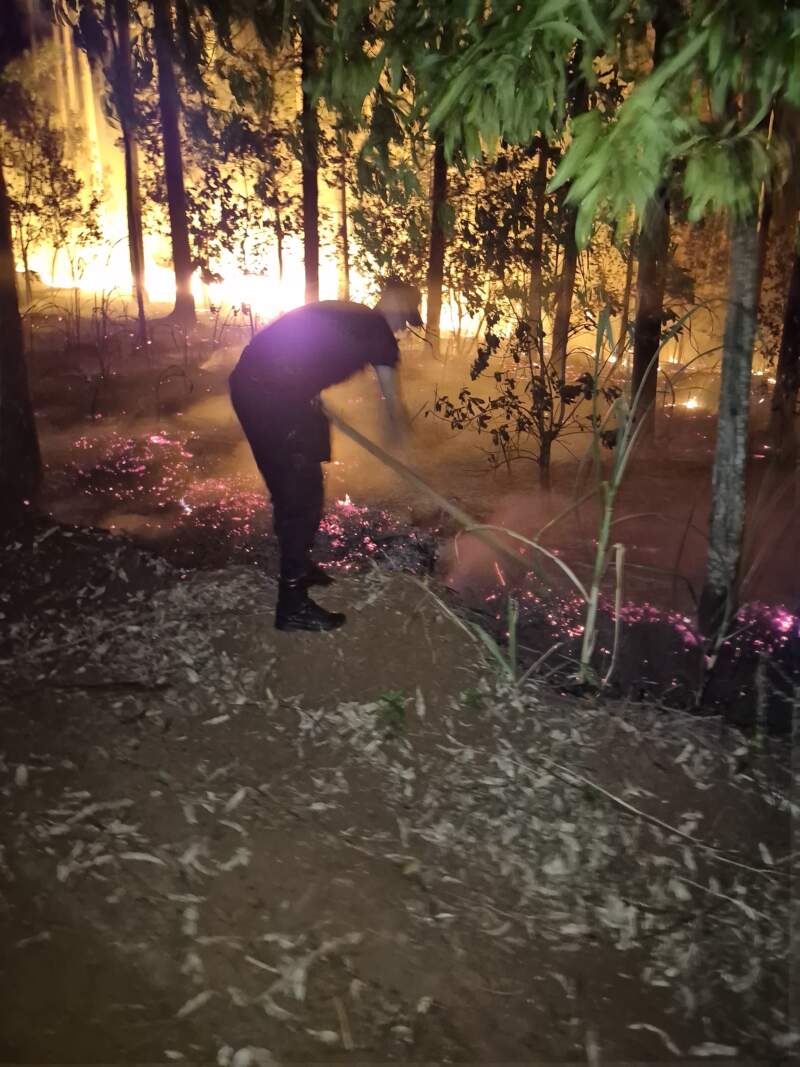 25 de Mayo: Bomberos intervinieron por un incendio de malezas y eucaliptal imagen-14