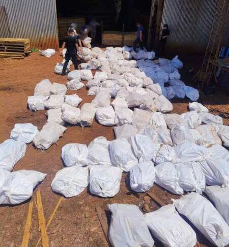 Incineraron casi cuatro toneladas de marihuana por orden de la Justicia Federal imagen-11