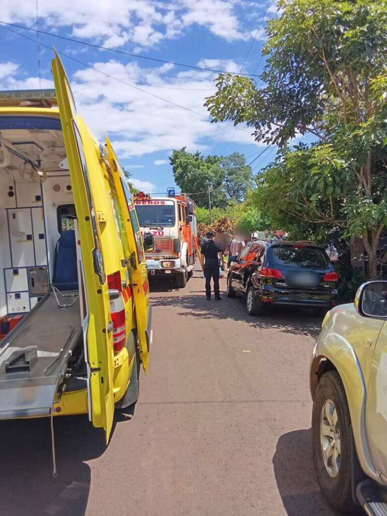 Puerto Iguazú: tres personas lesionadas tras el choque de una camioneta contra un árbol imagen-17