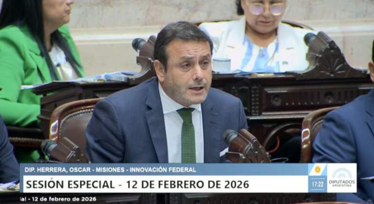 Herrera Ahuad: “La baja de la edad de imputabilidad debe ir acompañada de recursos para las provincias” imagen-19