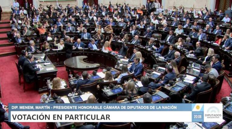 Régimen Penal Juvenil: Diputados de Innovación Federal presentaron disidencia parcial al dictamen de mayoría imagen-13