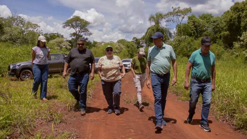 Ecología y Ohana concretaron una nueva liberación de fauna silvestre: monos, oso melero y tucán volvieron a su hábitat natural 7 Ecología y Ohana concretaron una nueva liberación de fauna silvestre: monos, oso melero y tucán volvieron a su hábitat natural imagen-6