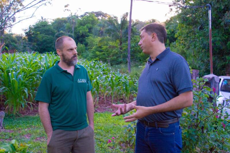 Ecología y Güirá Oga restituyeron 12 lechuzas a la Selva Misionera imagen-10