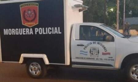 Montecarlo: Un hombre murió aplastado mientras realizaba tareas de poda en el barrio Centro imagen-5