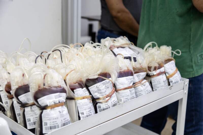 "Hay que saber que aquí hay un esfuerzo sostenido en salud pública", dijo Passalacqua en la entrega del nuevo móvil del Banco de Sangre, Tejidos y Biológicos imagen-10