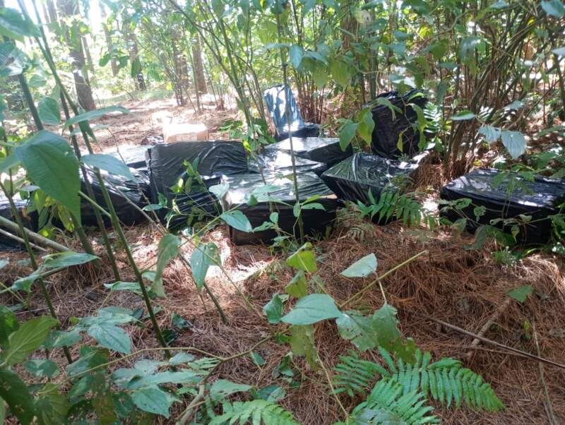 Decomisaron en Puerto Rico cargamento de cigarrillos valuado en casi $16 millones imagen-11