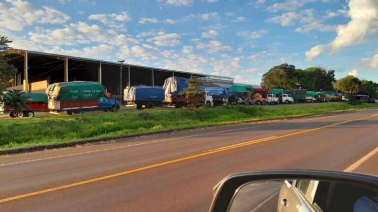 Tabaco: el diálogo entre sectores permitió el inicio ordenado del acopio en Misiones imagen-36