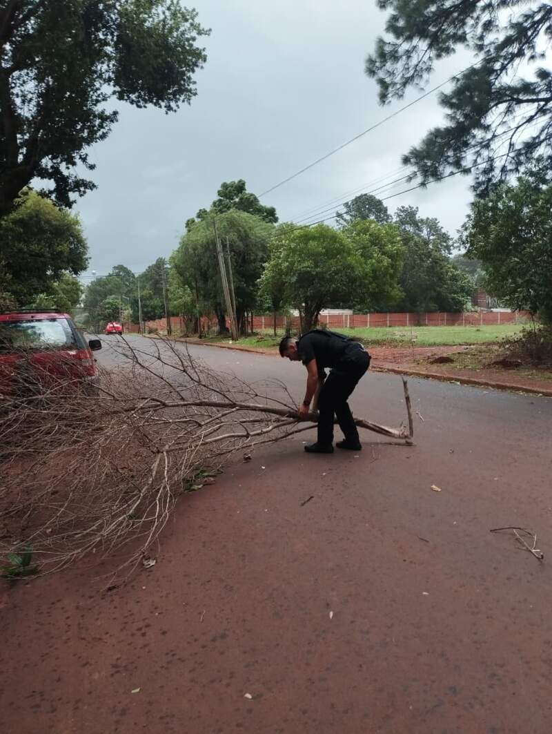Voladura de chapas y árboles caídos en Posads: relevamiento de daños y prevención policial tras el fuerte temporal imagen-6