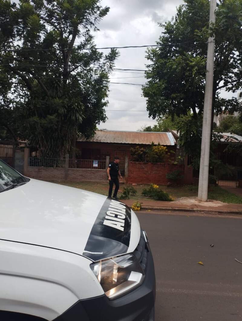 Voladura de chapas y árboles caídos en Posads: relevamiento de daños y prevención policial tras el fuerte temporal imagen-4