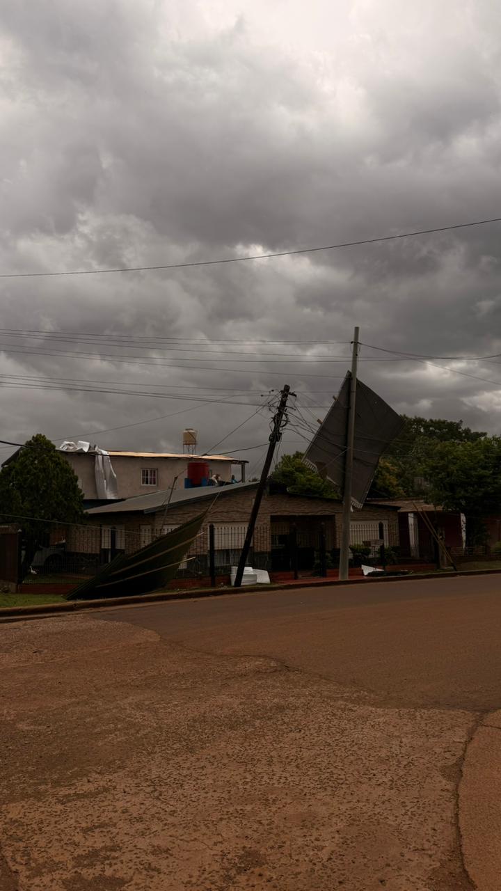 Voladura de chapas y árboles caídos en Posads: relevamiento de daños y prevención policial tras el fuerte temporal imagen-6