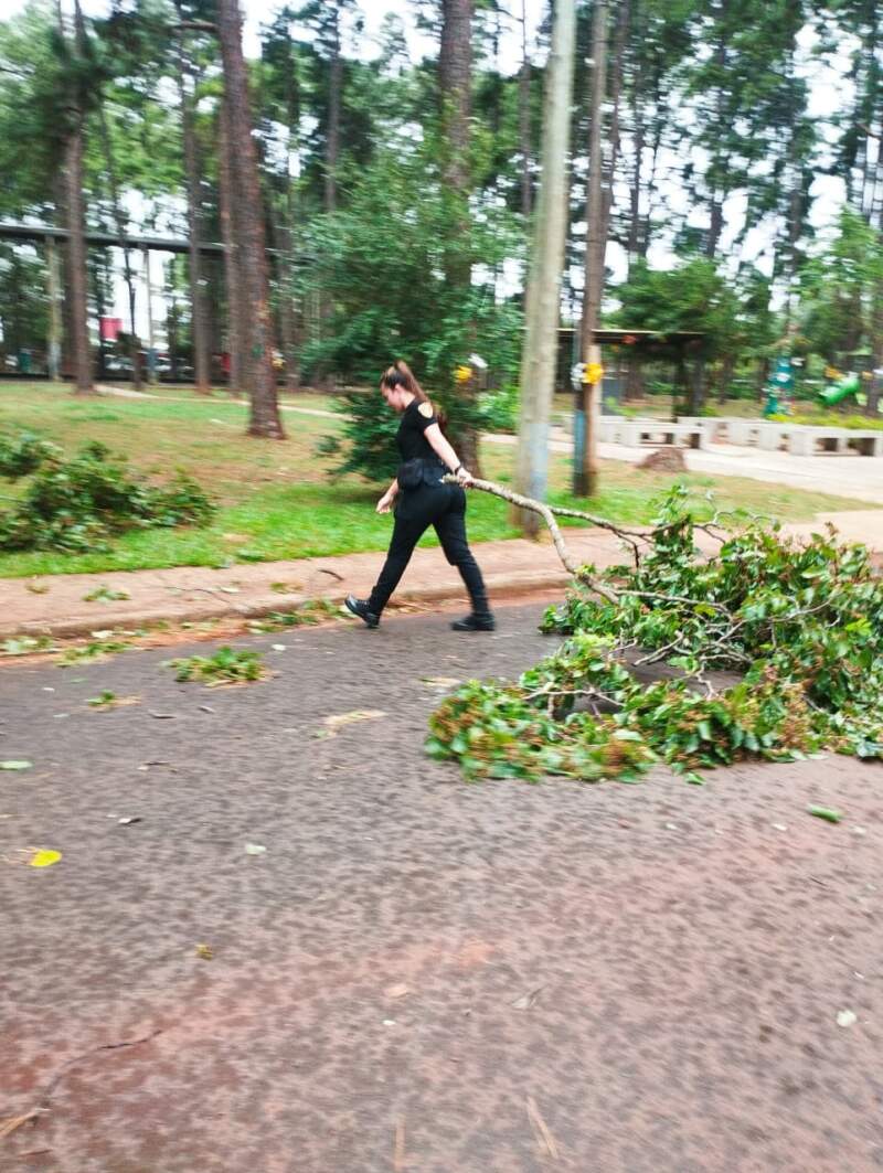Voladura de chapas y árboles caídos en Posads: relevamiento de daños y prevención policial tras el fuerte temporal imagen-8