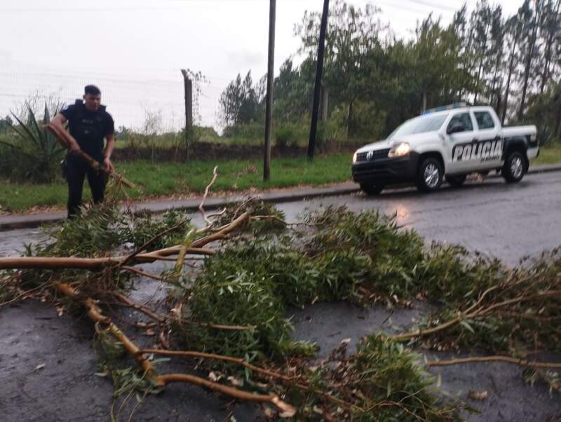 Voladura de chapas y árboles caídos en Posads: relevamiento de daños y prevención policial tras el fuerte temporal imagen-12