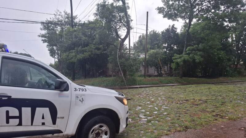 Voladura de chapas y árboles caídos en Posads: relevamiento de daños y prevención policial tras el fuerte temporal imagen-14