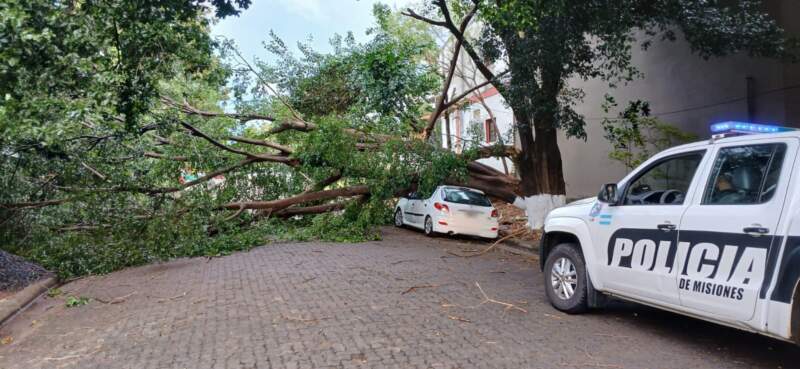 Voladura de chapas y árboles caídos en Posads: relevamiento de daños y prevención policial tras el fuerte temporal imagen-18