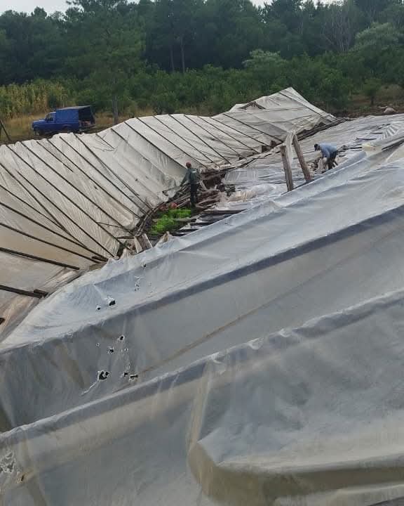 Temporal causó graves destrozos y caos en la Terminal de Ómnibus de Aristóbulo del Valle imagen-4