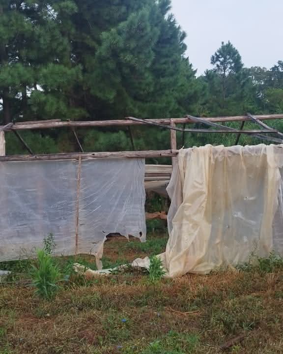 Temporal causó graves destrozos y caos en la Terminal de Ómnibus de Aristóbulo del Valle imagen-8