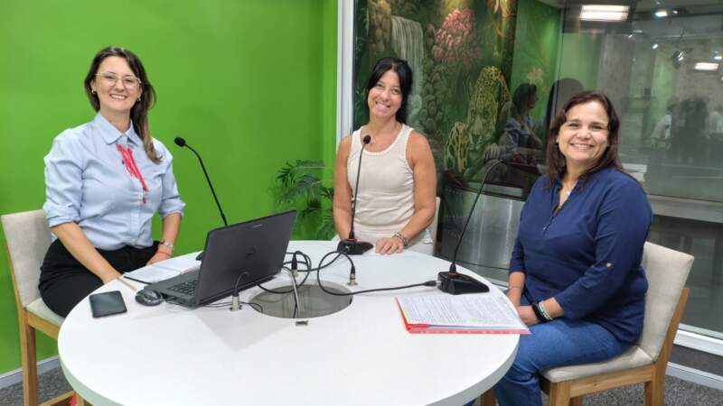 Nivel Inicial: desarrollo integral, alfabetización temprana y trabajo conjunto con las familias 3 Nivel Inicial: desarrollo integral, alfabetización temprana y trabajo conjunto con las familias imagen-2