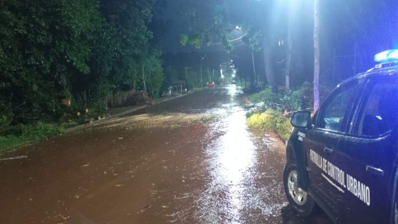 La Policía coordinó intervenciones en distintas localidades de Misiones afectadas por el temporal imagen-2