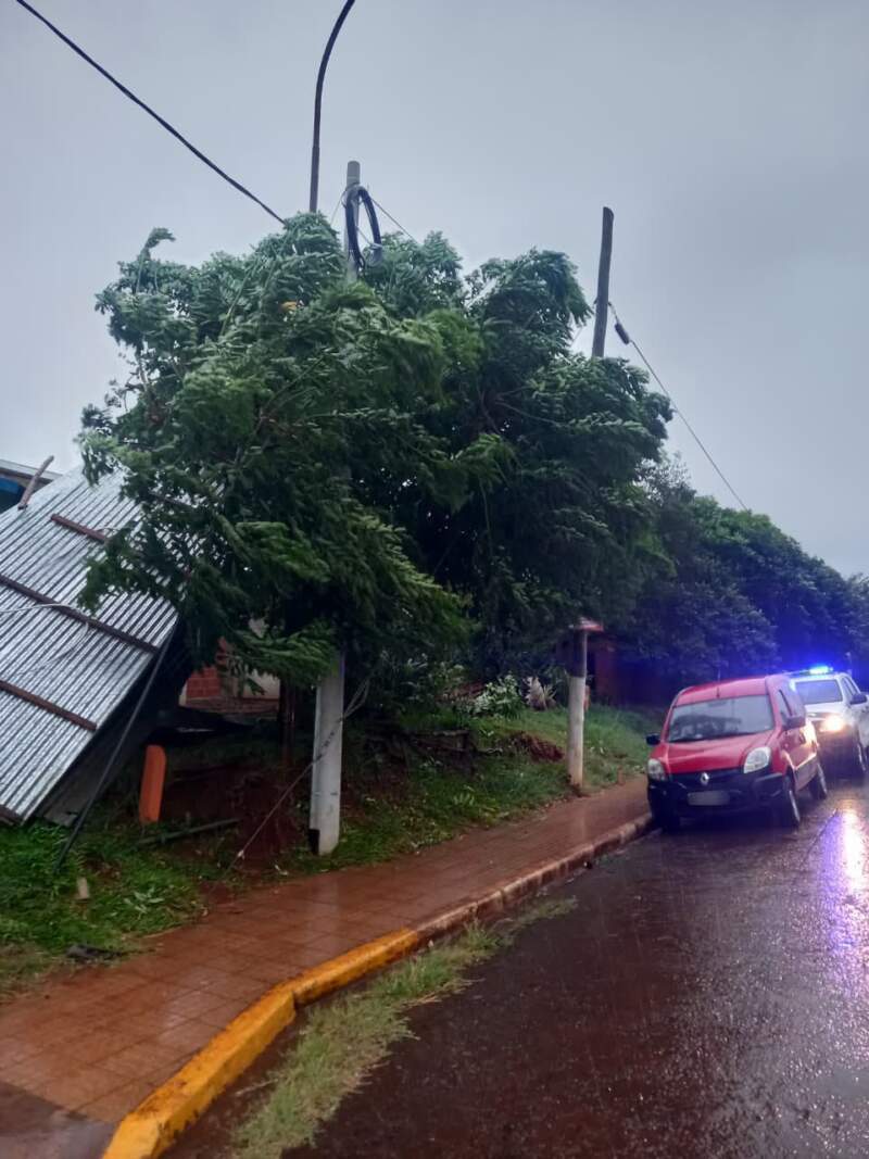La Policía coordinó intervenciones en distintas localidades de Misiones afectadas por el temporal imagen-7