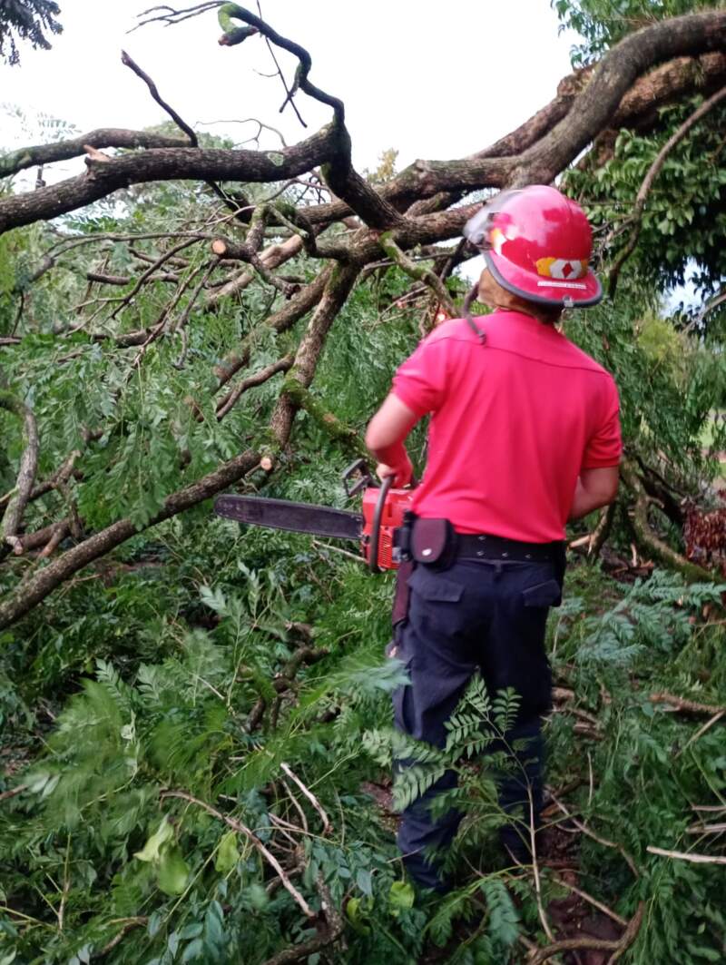 La Policía coordinó intervenciones en distintas localidades de Misiones afectadas por el temporal imagen-10