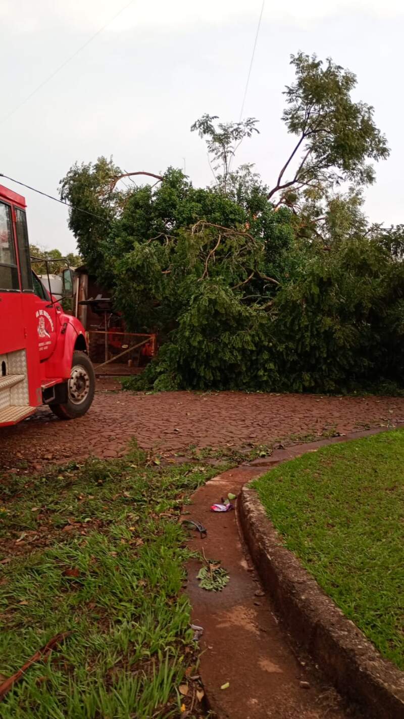 La Policía coordinó intervenciones en distintas localidades de Misiones afectadas por el temporal imagen-8