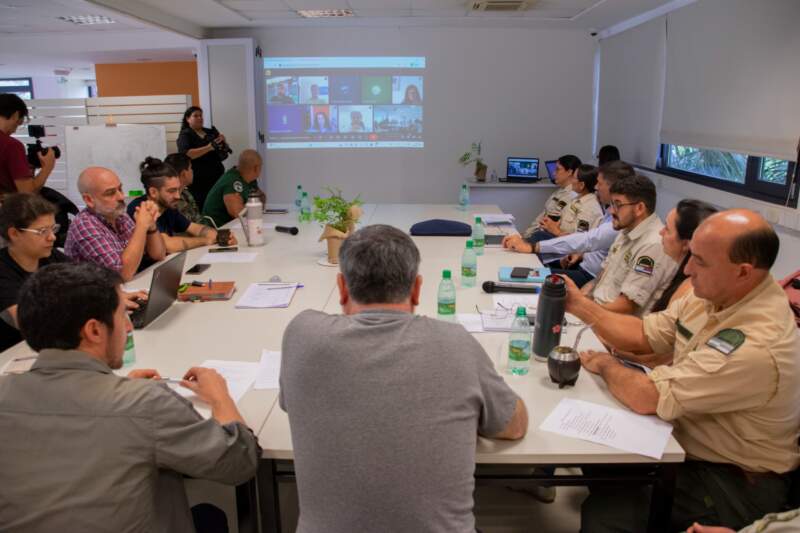 La Subcomisión Selva Paranaense se reunió en Puerto Iguazú para abordar la agenda técnica de conservación 19 La Subcomisión Selva Paranaense se reunió en Puerto Iguazú para abordar la agenda técnica de conservación imagen-18