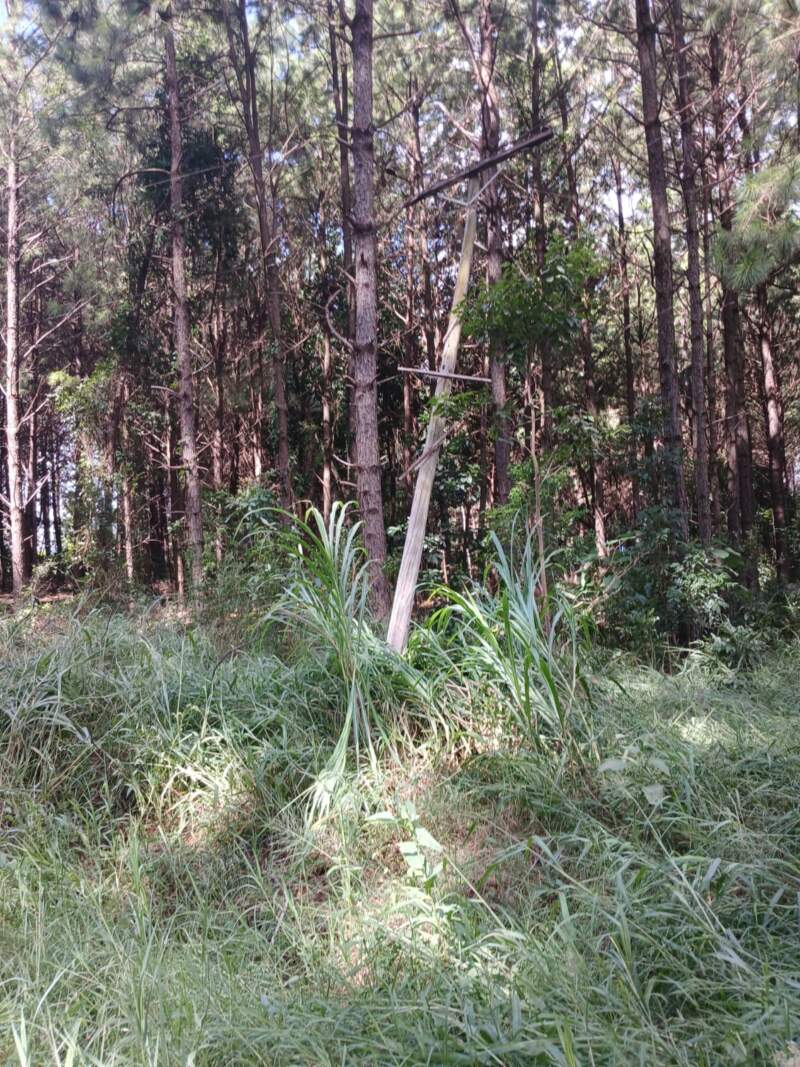 Tormenta provocó cortes de energía en varias localidades y el servicio ya fue restablecido en un 85% mientras continúan los trabajos imagen-7