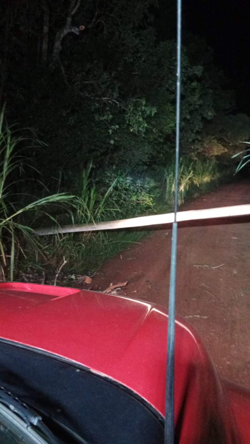 Tormenta provocó cortes de energía en varias localidades y el servicio ya fue restablecido en un 85% mientras continúan los trabajos imagen-11