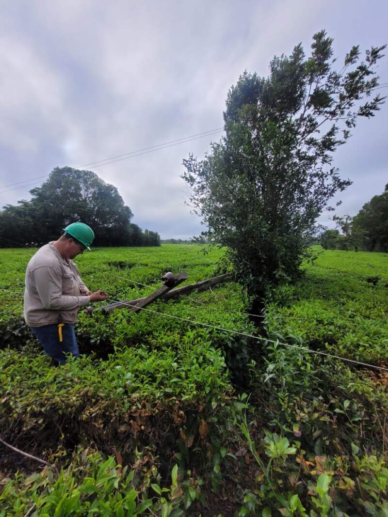 Más de 7.000 usuarios sufrieron cortes de energía y el restablecimiento del servicio alcanza el 85% 13 Más de 7.000 usuarios sufrieron cortes de energía y el restablecimiento del servicio alcanza el 85% imagen-12