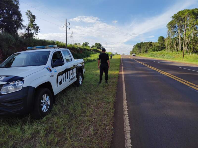 Despiste con víctima fatal sobre la Ruta Nacional 12 en Puerto Rico imagen-2