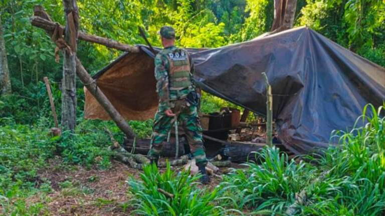 En amplio operativo de control forestal en la provincia interceptan a cazadores furtivos y secuestran armas imagen-25