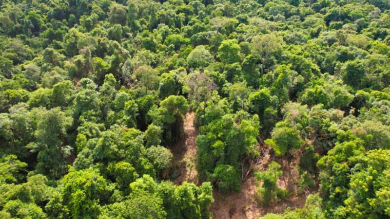 En amplio operativo de control forestal en la provincia interceptan a cazadores furtivos y secuestran armas imagen-10