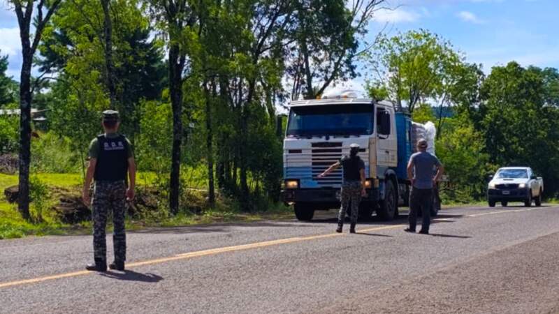 En amplio operativo de control forestal en la provincia interceptan a cazadores furtivos y secuestran armas imagen-16
