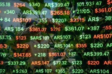 Misiones propone crear una pizarra de referencia para sostener el precio de la hoja verde de yerba mate imagen-5