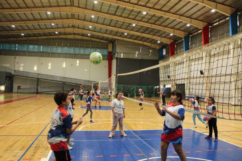 Abren las inscripciones para las Escuelas de Iniciación y Formación Deportiva con base en el CePARD imagen-4