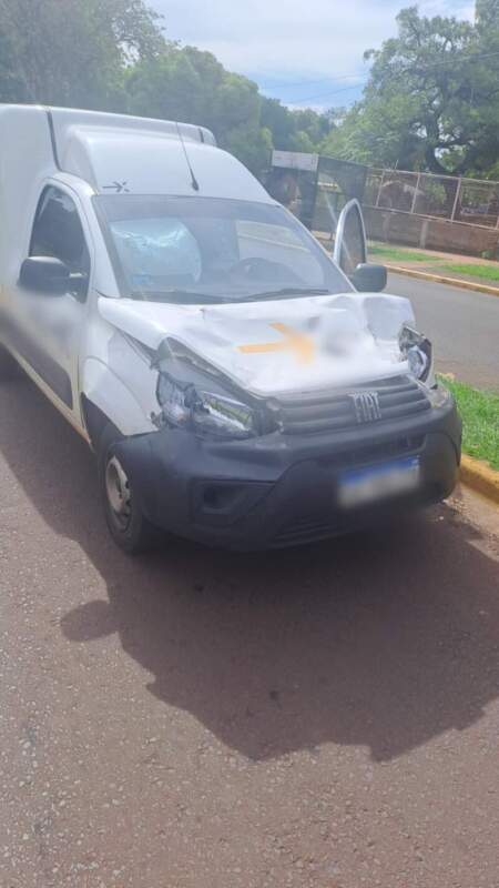 Posadas: daños materiales tras colisión entre un vehículo y un equino imagen-5