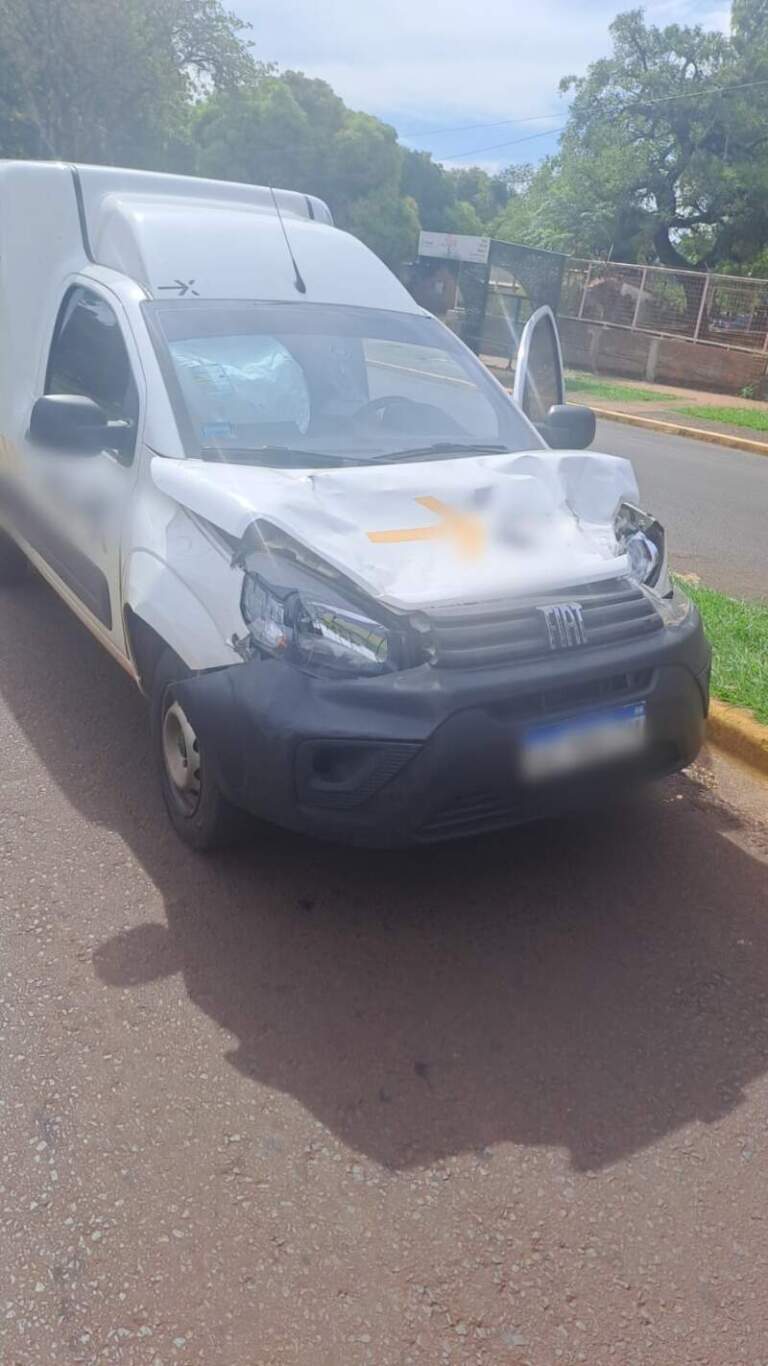 Posadas: daños materiales tras colisión entre un vehículo y un equino imagen-22