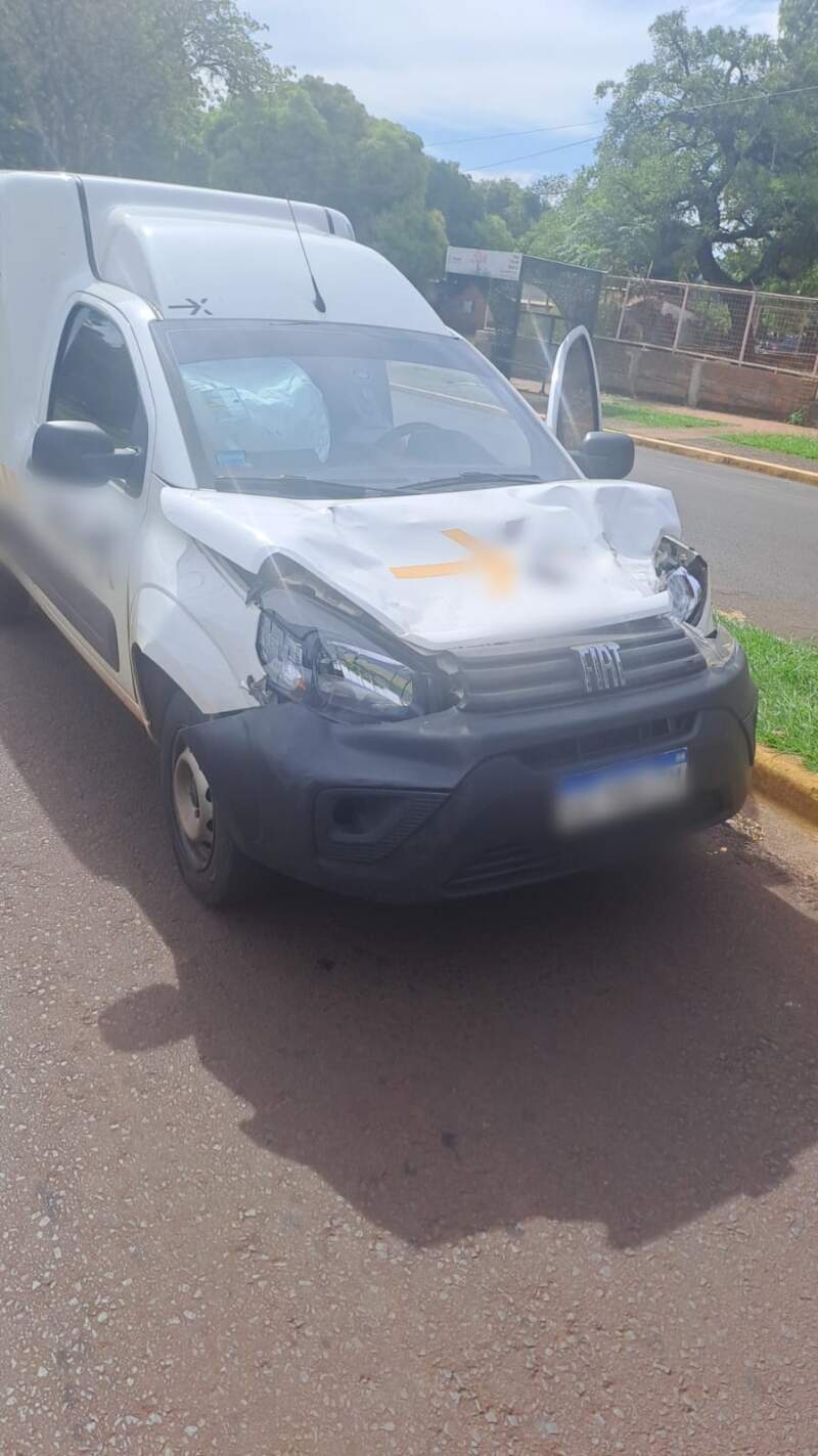 Posadas: daños materiales tras colisión entre un vehículo y un equino imagen-8