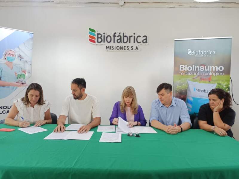 Bioinsumos: Biofábrica Misiones y la UNaM desarrollarán un hormiguicida biológico imagen-6