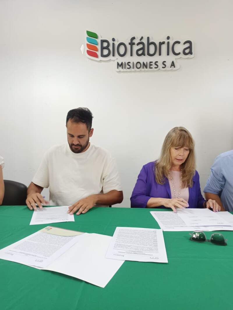 Bioinsumos: Biofábrica Misiones y la UNaM desarrollarán un hormiguicida biológico imagen-2