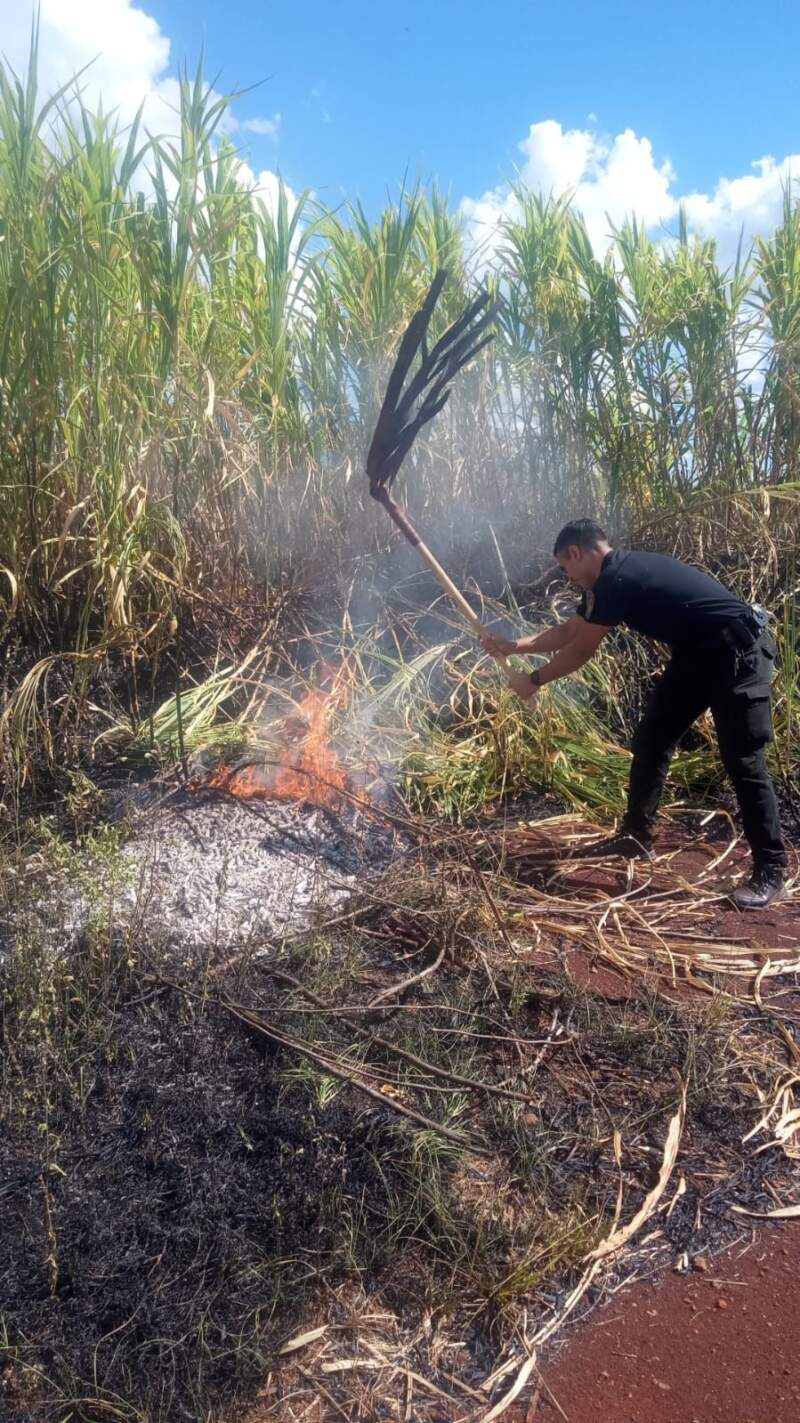 Incendio de malezas fue controlado en Posadas imagen-2